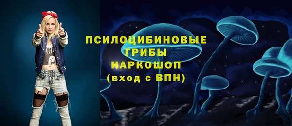 соль ск Пенза