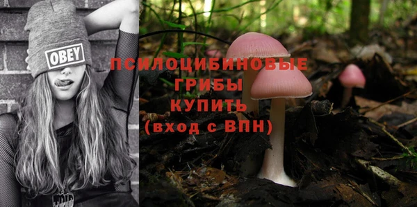 не бодяженный Козловка
