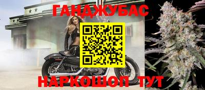 мяу мяу кристалл Малоярославец