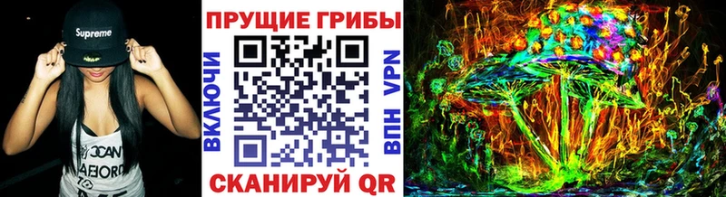 продажа наркотиков  Фрязино  shop формула  Псилоцибиновые грибы Cubensis 