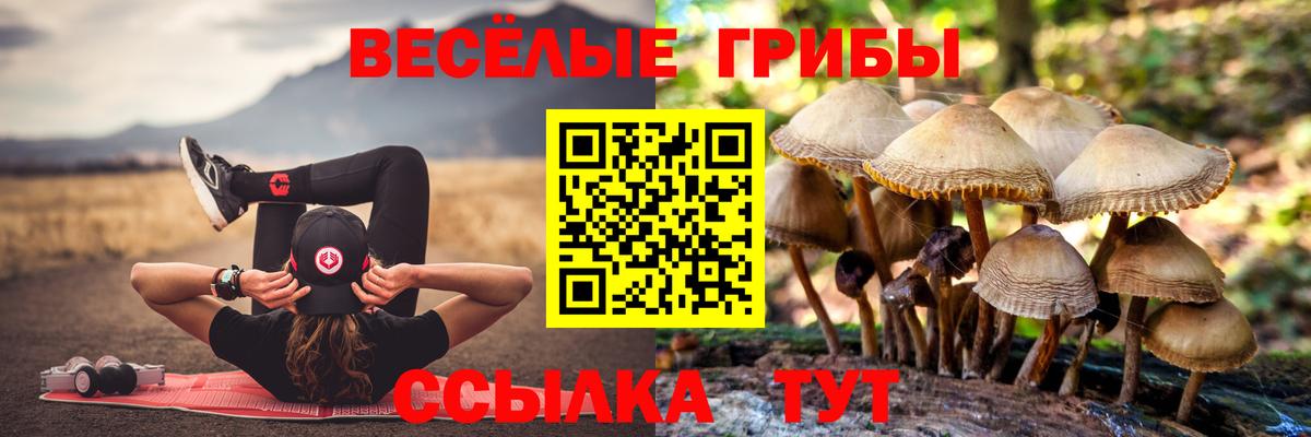 Псилоцибиновые грибы ЛСД Фрязино
