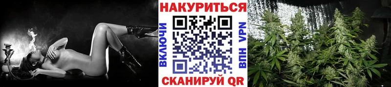 где найти наркотики  Фрязино  МАРИХУАНА ГИДРОПОН 