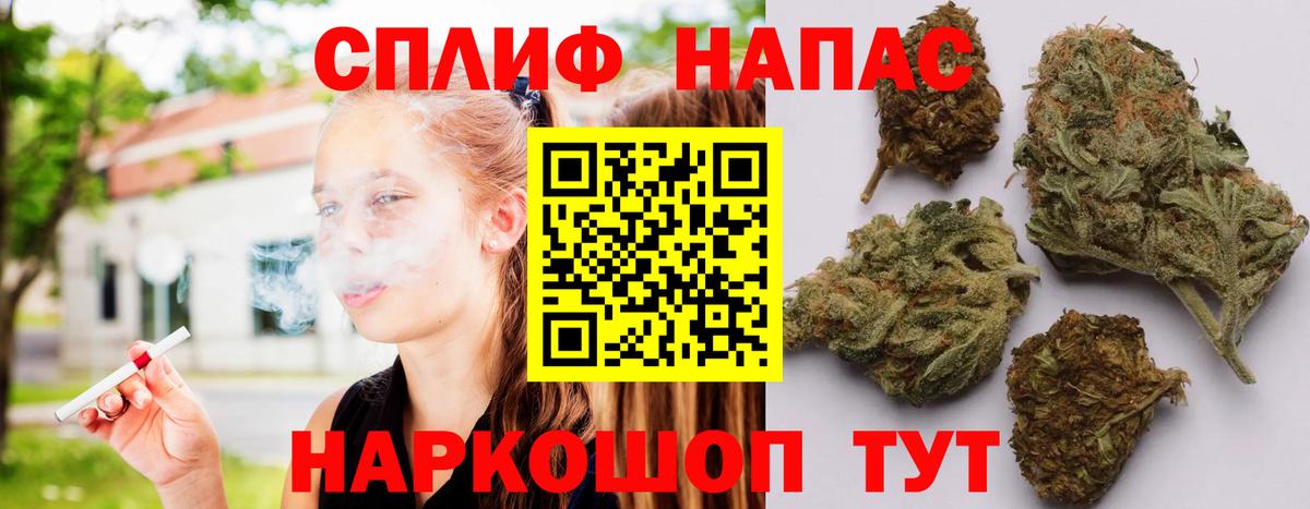 Шишки марихуана планчик  Канабис SATIVA & INDICA  Вход с VPN  Фрязино 